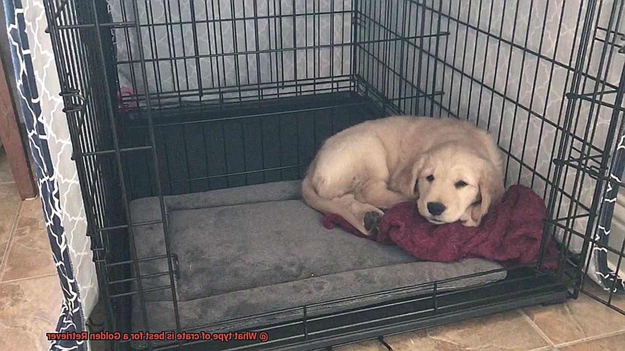 What type of crate is best for a Golden Retriever-2