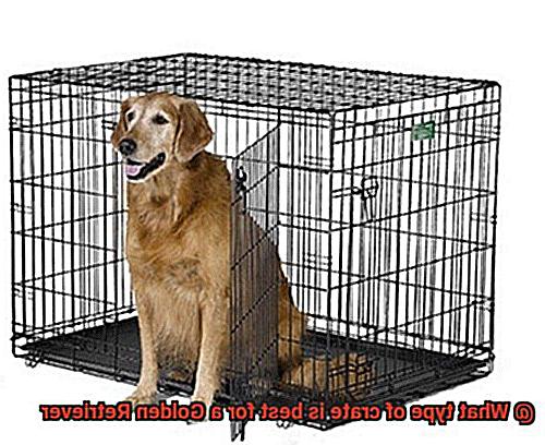 What type of crate is best for a Golden Retriever-3