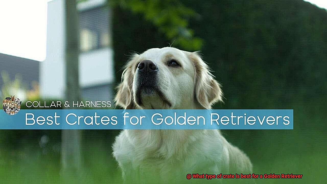 What type of crate is best for a Golden Retriever-4