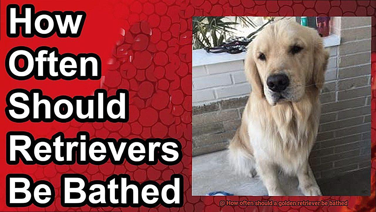How often should a golden retriever be bathed-3