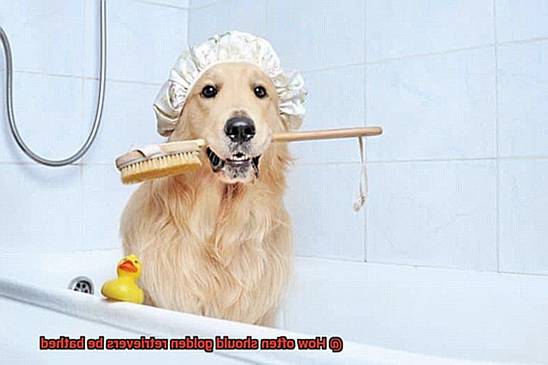How often should golden retrievers be bathed-2