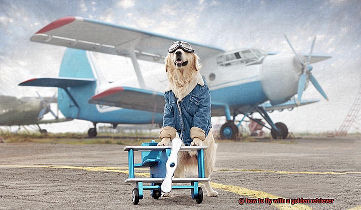 how to fly with a golden retriever-2