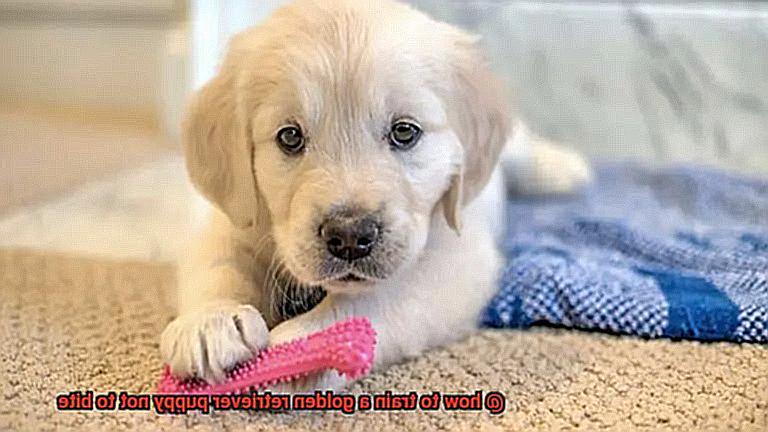 how to train a golden retriever puppy not to bite-2