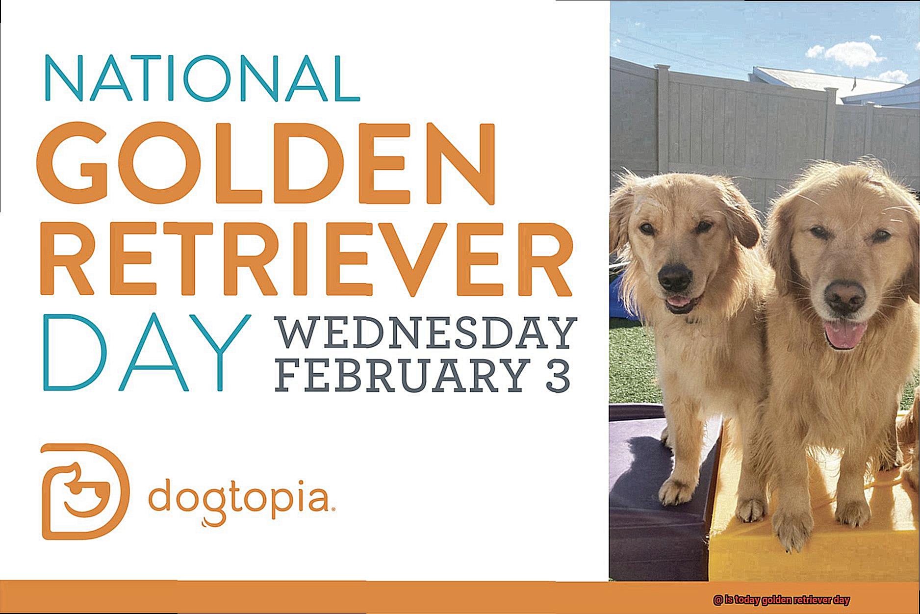is today golden retriever day-2